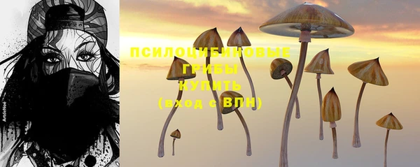 соль ск Вязники