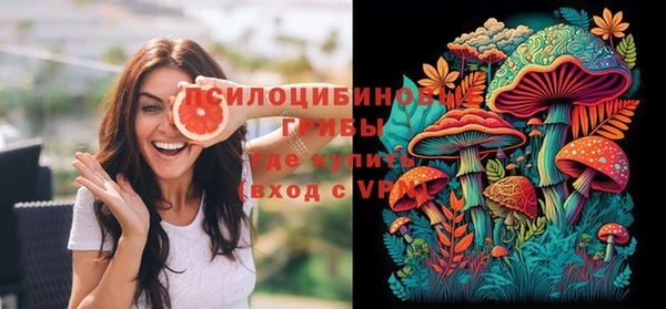 соль ск Вязники