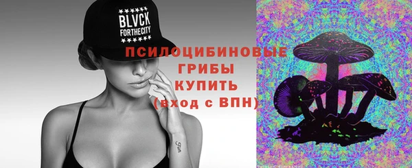 соль ск Вязники