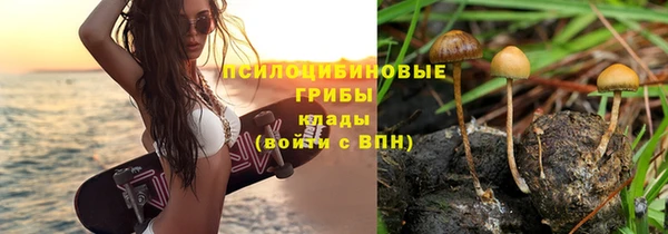 ECSTASY Вязьма