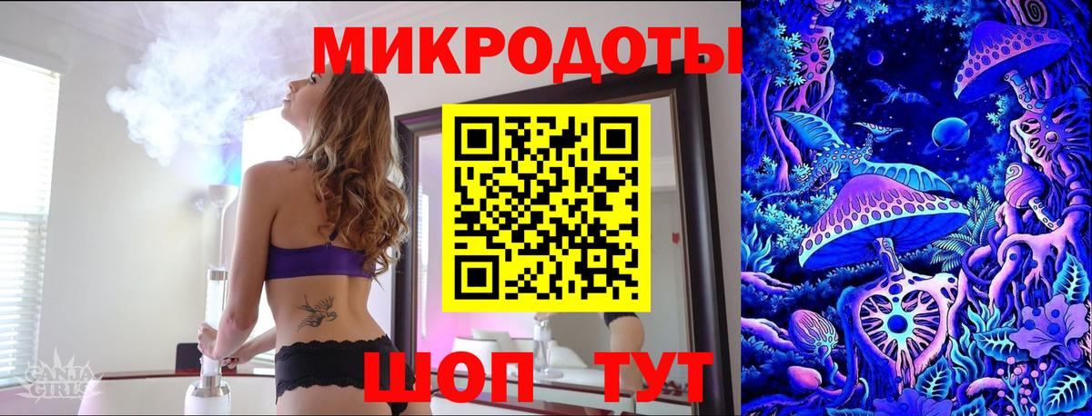 Галлюциногенные грибы Psilocybine cubensis Ноябрьск